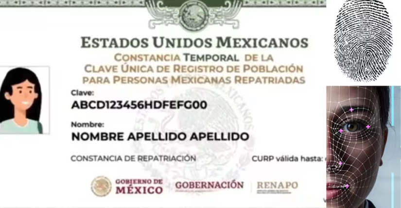 Por: Cortesía Nueva CURP biométrica en México: ¿Qué es y cómo tramitarla?