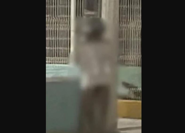 Por: Cortesía Hombre amarrado a poste en Puebla: encuentra mensajes misteriosos