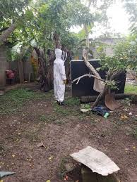 Por: Cortesía Lula Pineda Bomberos controlan enjambre de avispas en Coronango