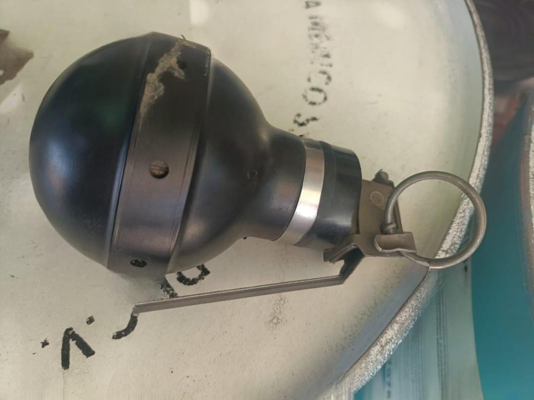 Por: Cortesía Granada localizada en Santa Cruz Tlaxcala genera pánico entre la población