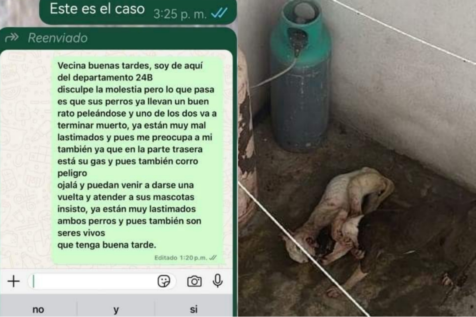 Por: Especial "Gobierno no está prepreparado para casos de emergencia": MAP