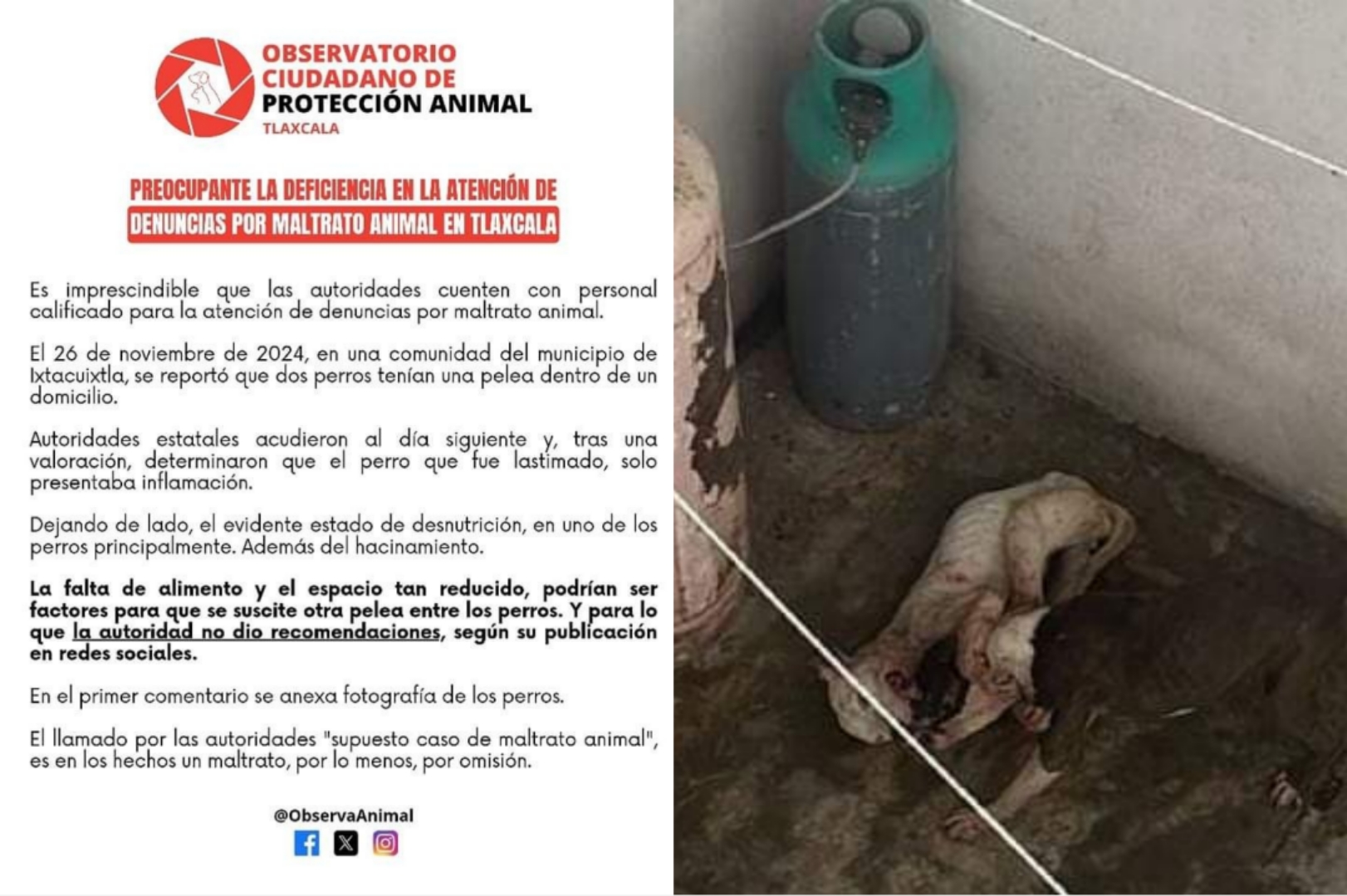 Por: Especial Autoridad no resuelve y carecen de personal capacitado: OCPA