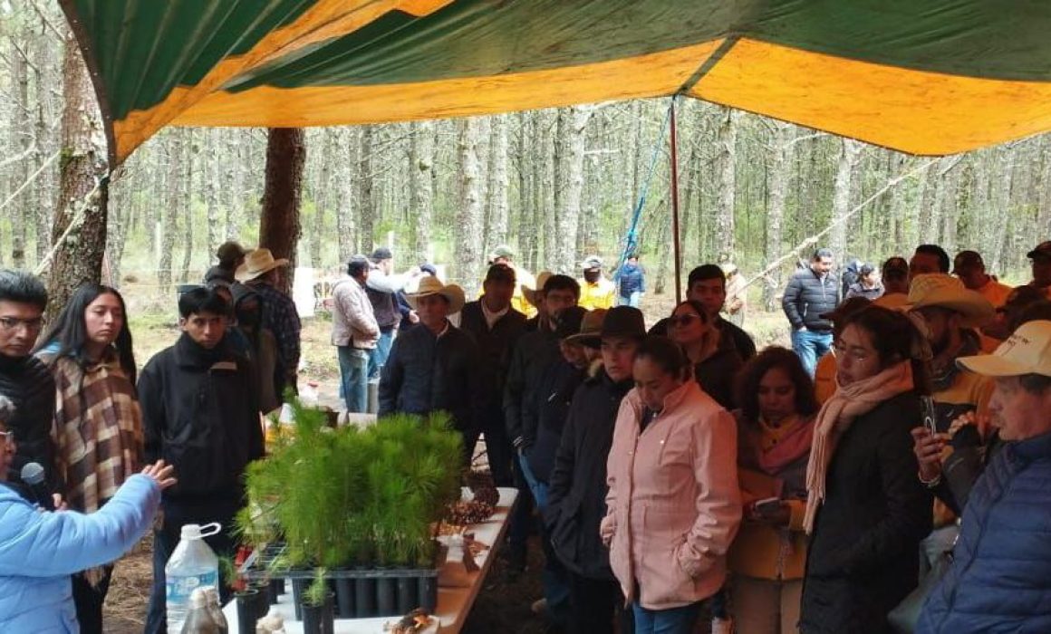 Por: Cortesía UATx impulsa la conservación de ecosistemas forestales a través de la ciencia