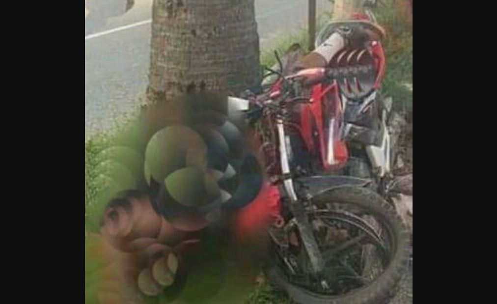 Por: Cortesía Estudiante del Tecnológico de México fallece en trágico accidente de moto en Ometepec