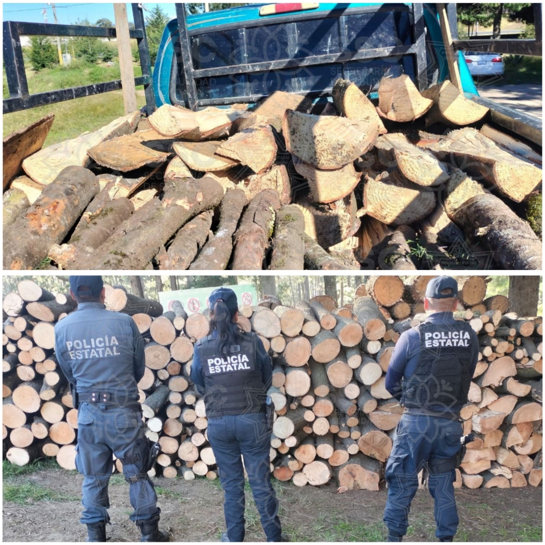 Por: Cortesía Tala clandestina continúa en La Malinche: se recupera madera en rollo y leña