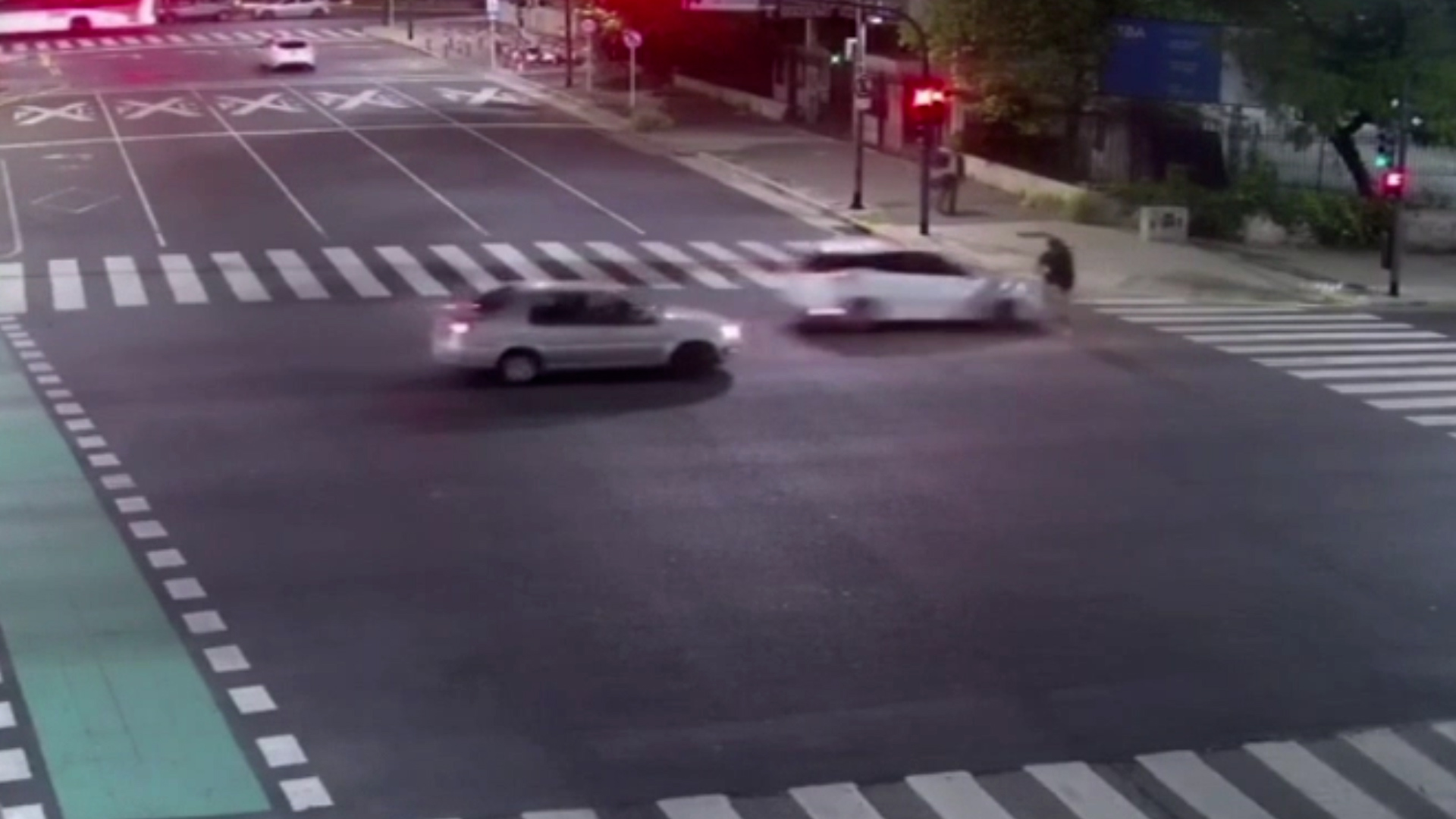 Por: Cortesía Accidente entre ciclista y automovilista en Argentina: un choque brutal en la madrugada