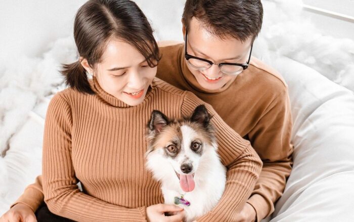 Por: Cortesía Morena propone cambios legales para custodiar a las mascotas en casos de divorcio