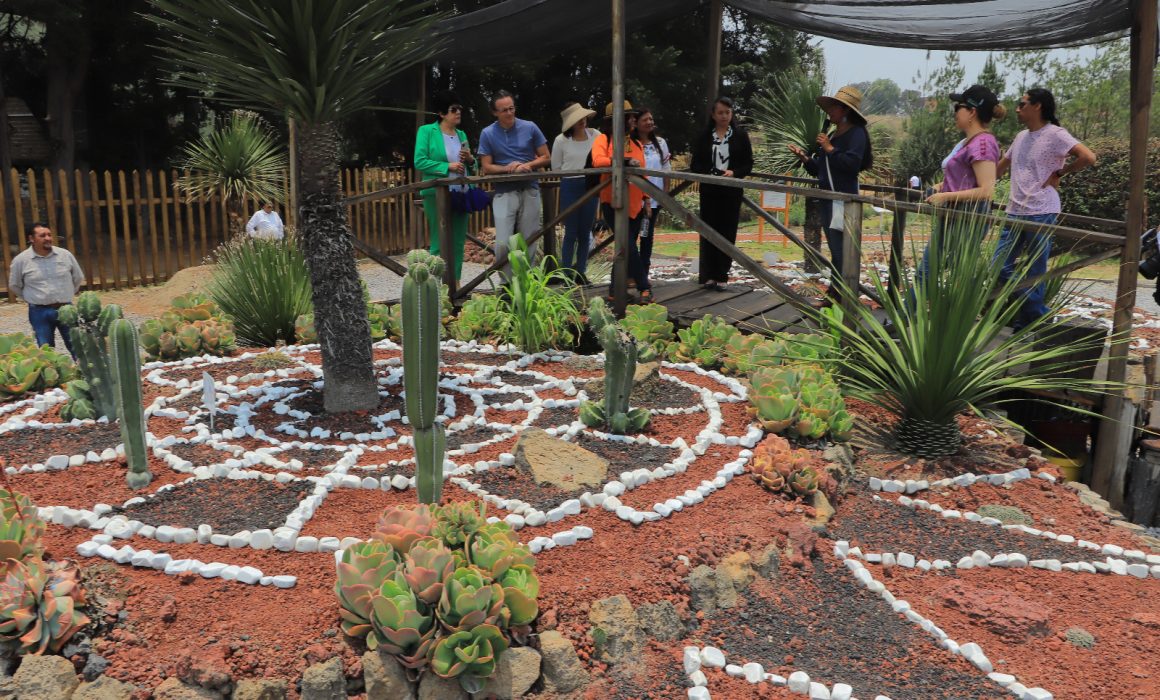 Por: Cortesía Aprende a Monitorear Aves: Taller en el Jardín Etnobiológico Tlaxcallan