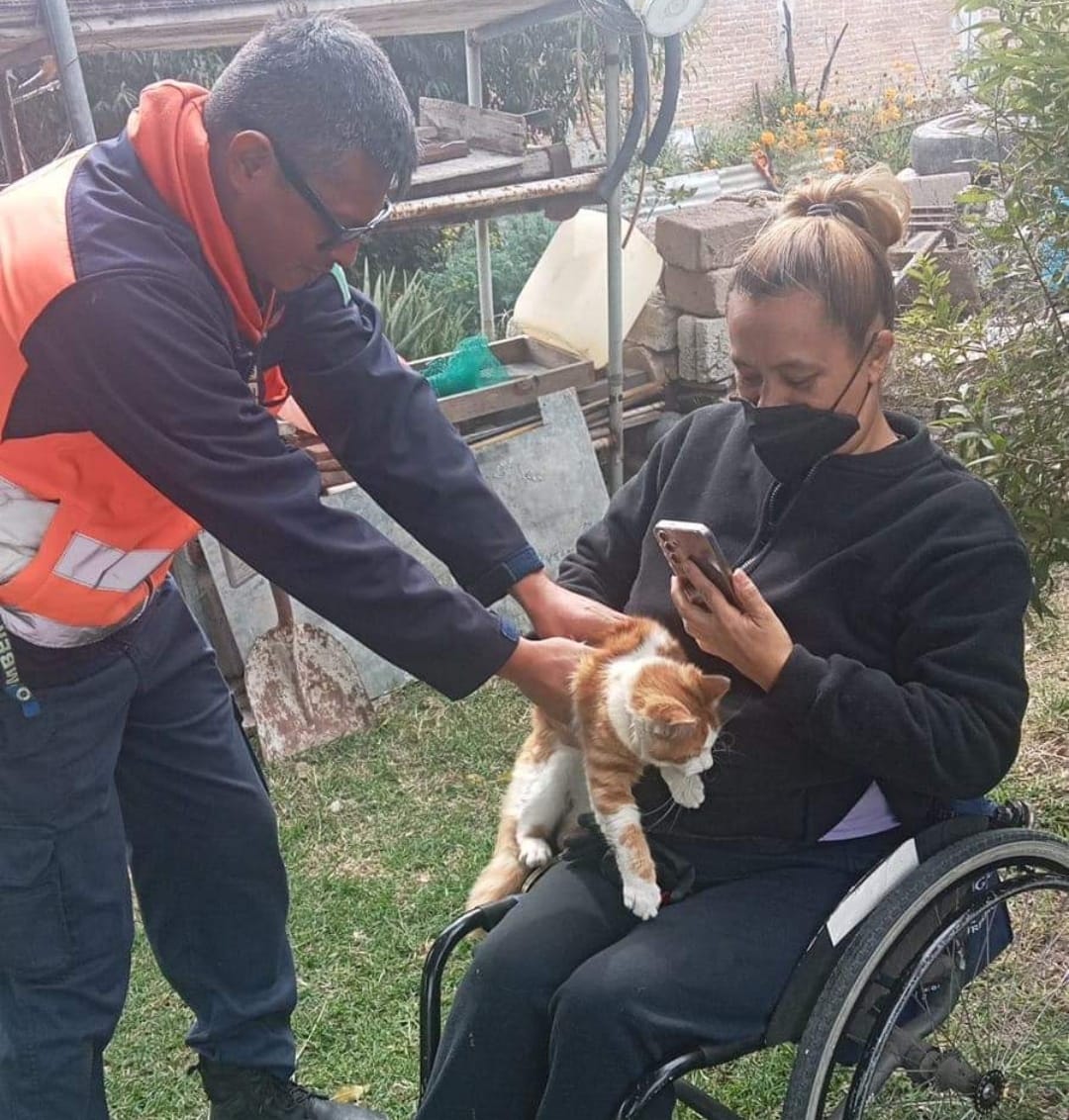 Por: Cortesía Lula Pineda Rescate de gatito en Santiago Xicotenco