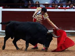 Por: Cortesía Sheinbaum revisará la continuidad de las corridas de toros en México como parte de su postura en defensa de los animales