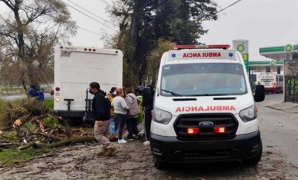 Por: Cortesía Camión sin frenos choca contra árbol en Paseo Tollocan; conductor ileso