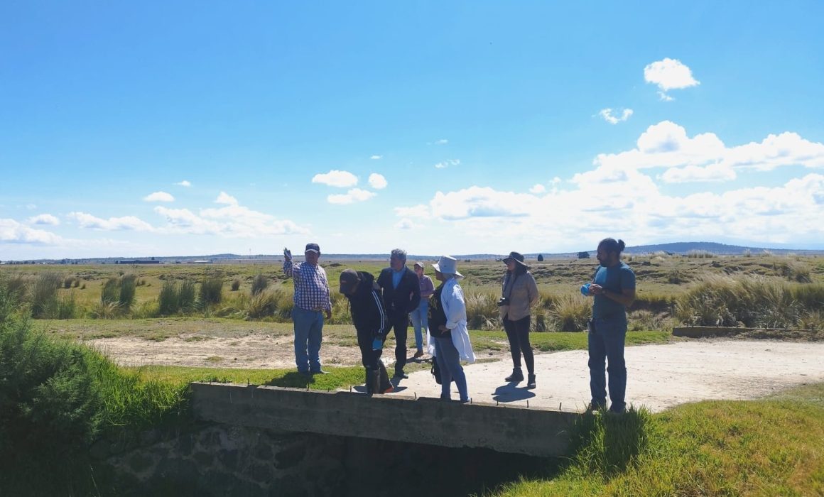 Impulsando la Sostenibilidad: Plan Hídrico para la Microcuenca Lagunilla-José María Morelos