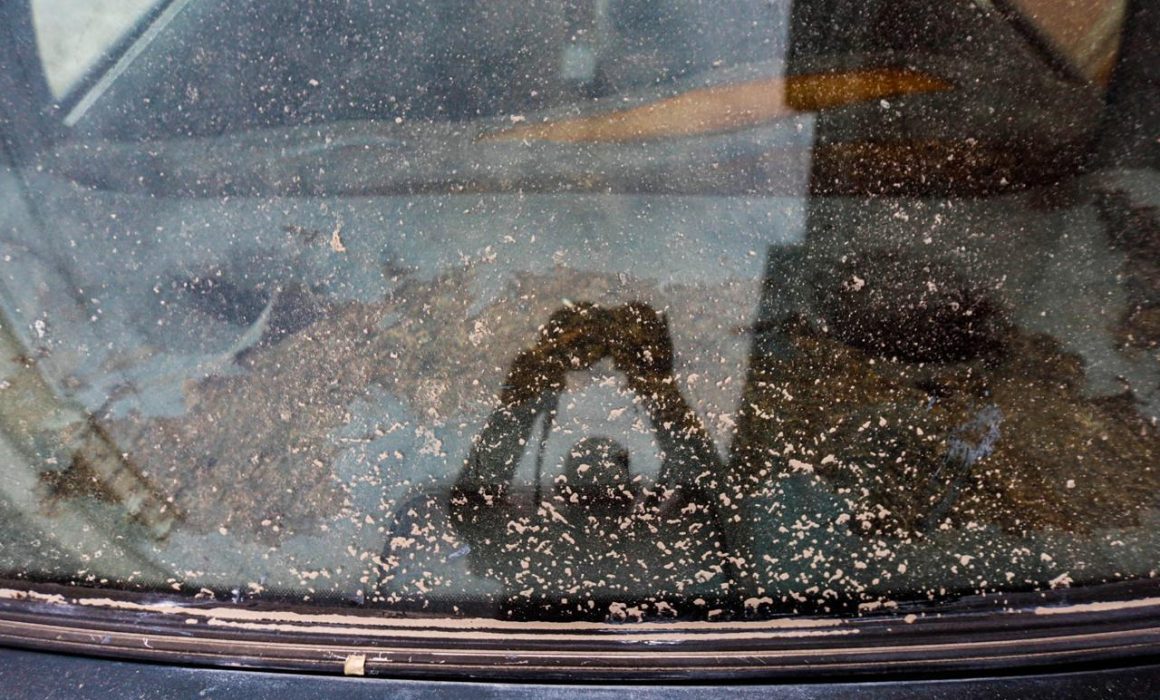 Por: Cortesía ¡Alerta en Tlaxcala! Ceniza del Popocatépetl cubre la capital: toma precauciones