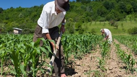 Por: Cortesía  Agricultura permite crecimiento económico en Tlaxcala: INEGI