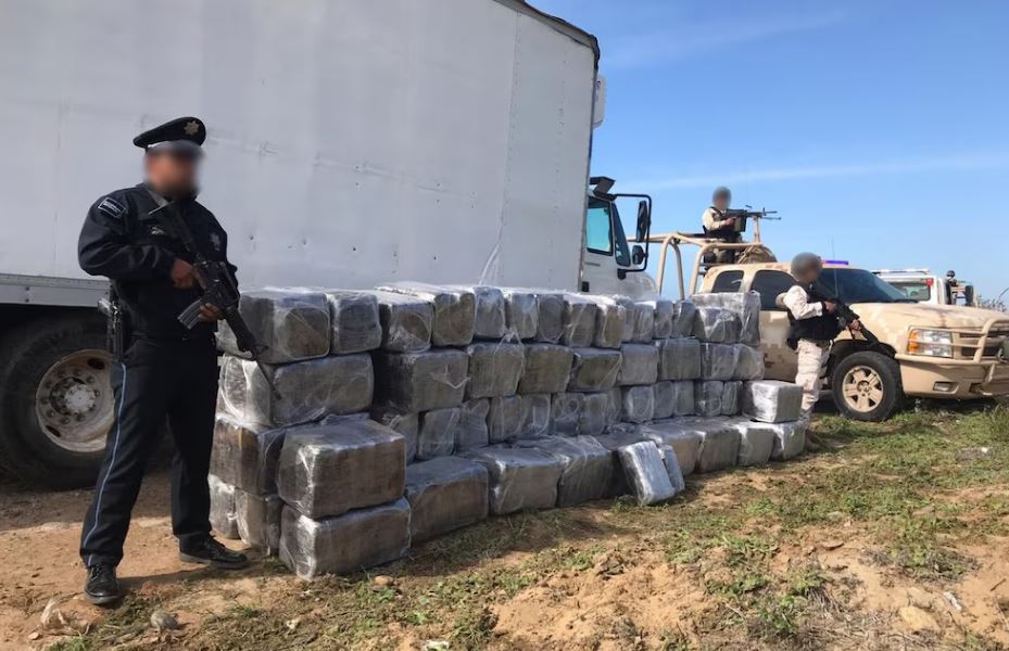 Por: Cortesía Detienen a conductor con 300 kilos de marihuana en Zacatecas: detalles del operativo
