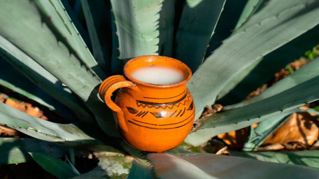 Por: Cortesía El Pulque: Patrimonio Cultural Inmaterial de la Ciudad de México