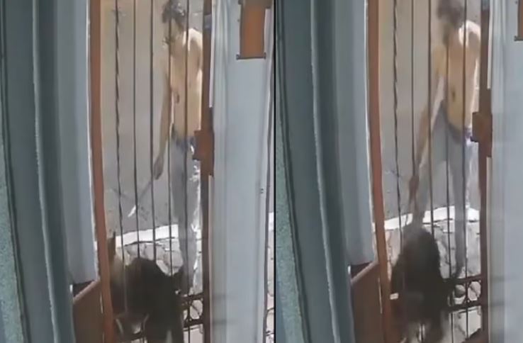 Hombre golpea a un perro Husky atorado en una reja en Puebla, investigan caso