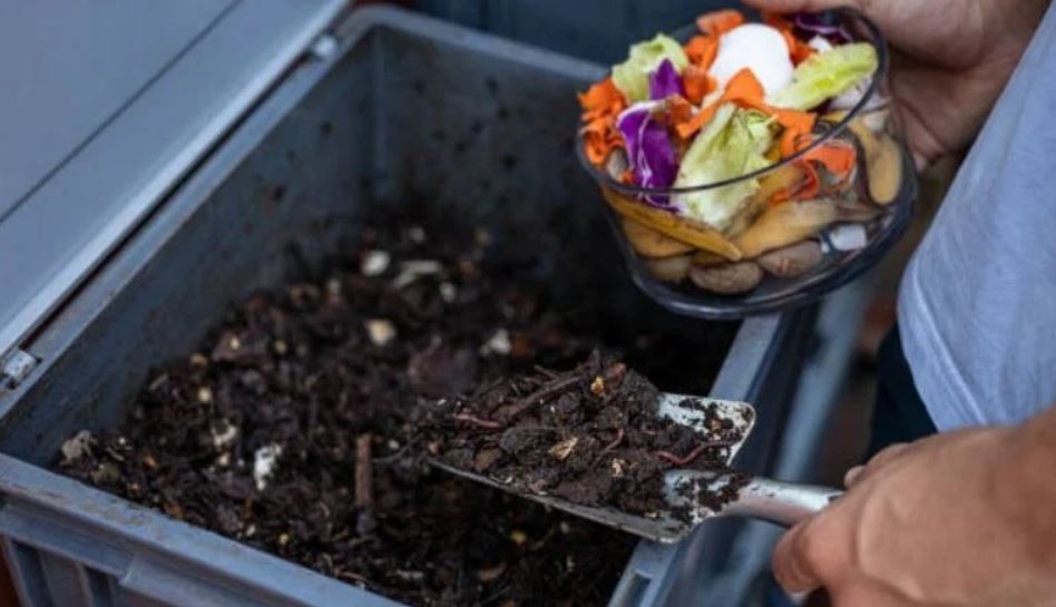Por: Cortesía Abonos Orgánicos vs. Abonos Químicos: Descubre Cómo Mejorar Tu Jardín