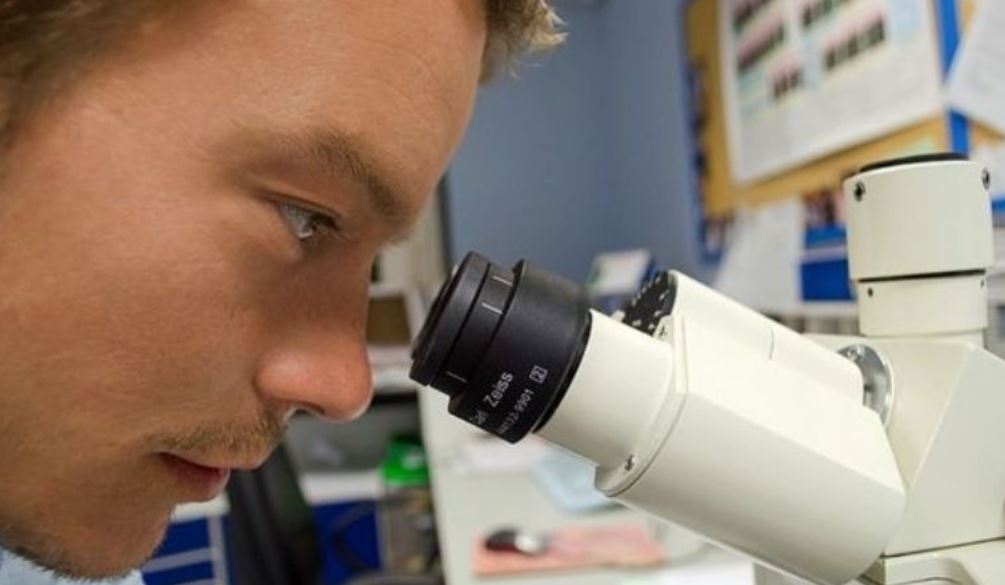 Por: Cortesía Nuevo avance científico identifica proteína clave en la lucha contra el cáncer