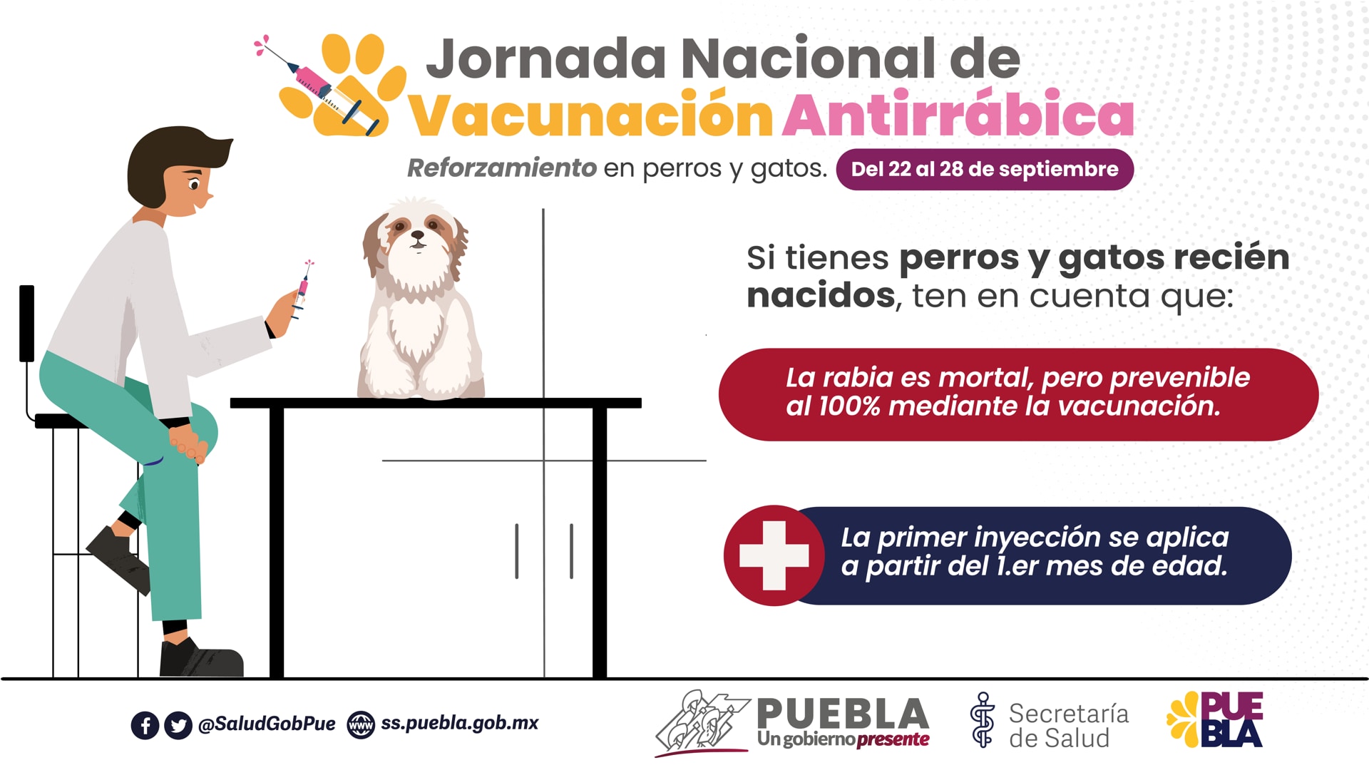 Por: Cortesía Protege a tus mascotas: Vacunación antirrábica gratuita en Puebla del 22 al 28 de septiembre