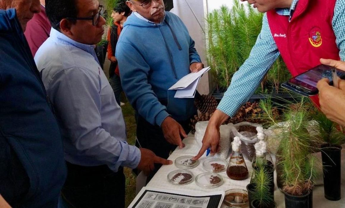Por: Cortesía Rehabilitación de Bosques en Tlaxcala: Innovadoras Investigaciones de la UATx