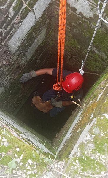 Por: Cortesía Lula Pineda Rescatan a perrito de pozo de 10 metros en San Andrés Cholula