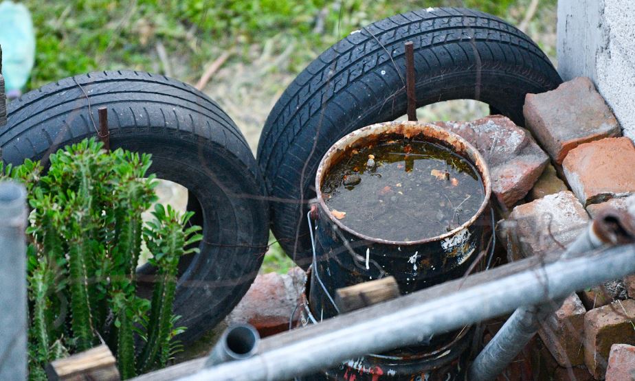 Por: Cortesía Dengue en Puebla: 122 nuevos casos en un día y 2,872 acumulados