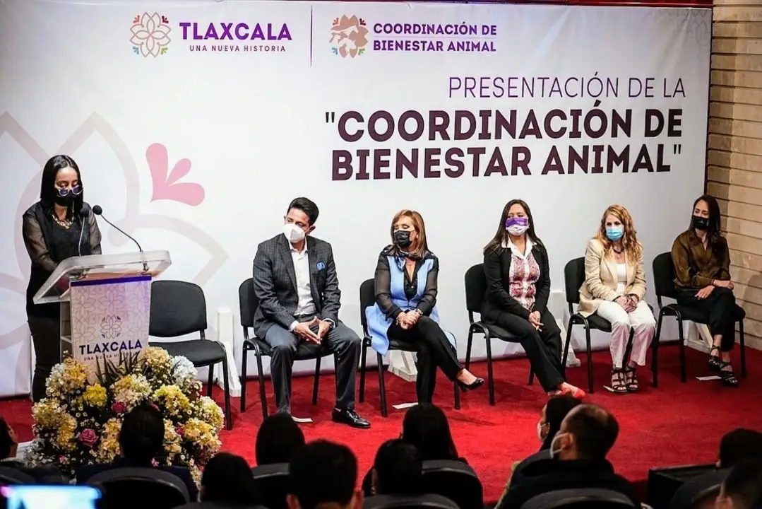 Por: Archivo  Por omisión a la Ley, OCPA exhibe al Consejo Consultivo de Bienestar Animal