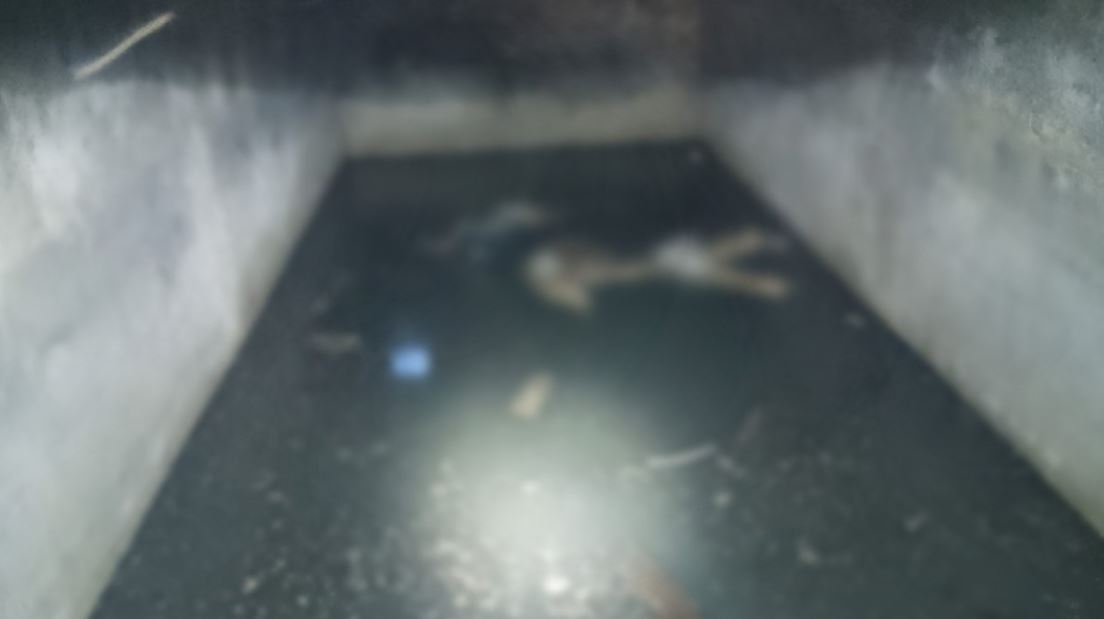 Por: Cortesía Hallan tres cuerpos en fosa séptica de la presa El Cuchillo, Nuevo León