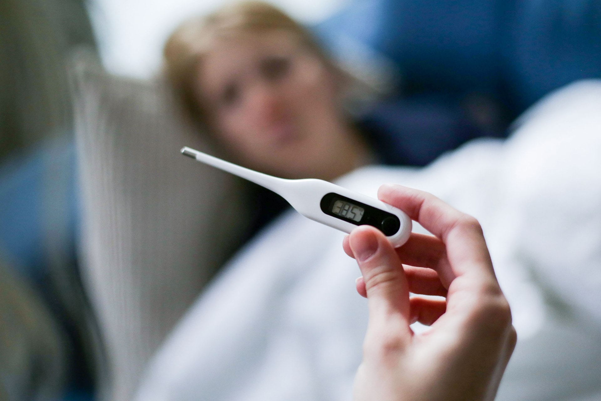 Por: Cortesía Puebla registra 2,976 casos de dengue en 2024; principales zonas afectadas