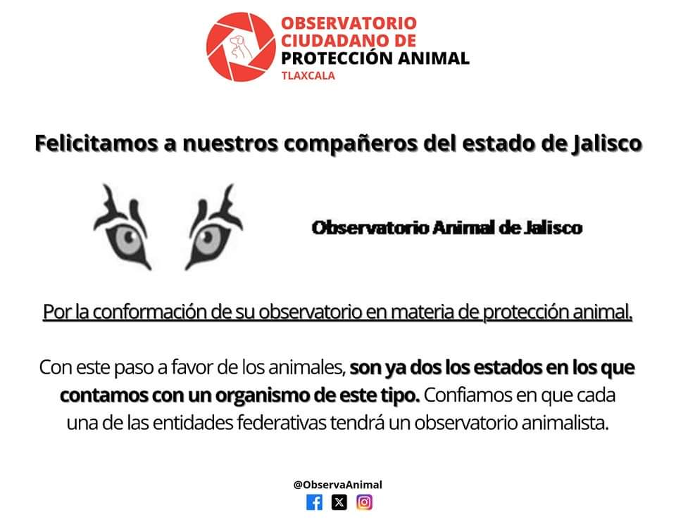 Es OCPA referente a nivel nacional; abren Observatorio en Jalisco