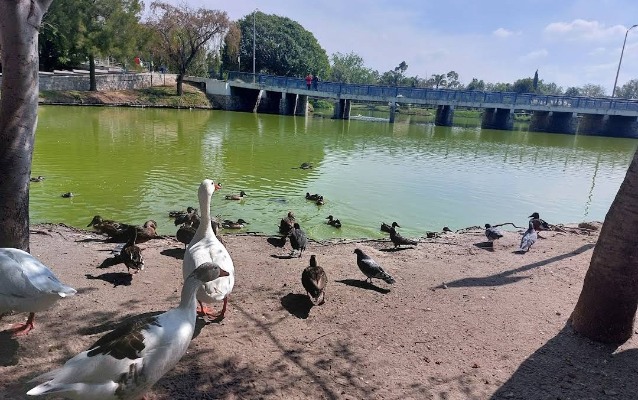 Por: Cortesía Gobierno de Puebla anuncia cancelación del Coca-Cola Food Fest en Parque Ecológico