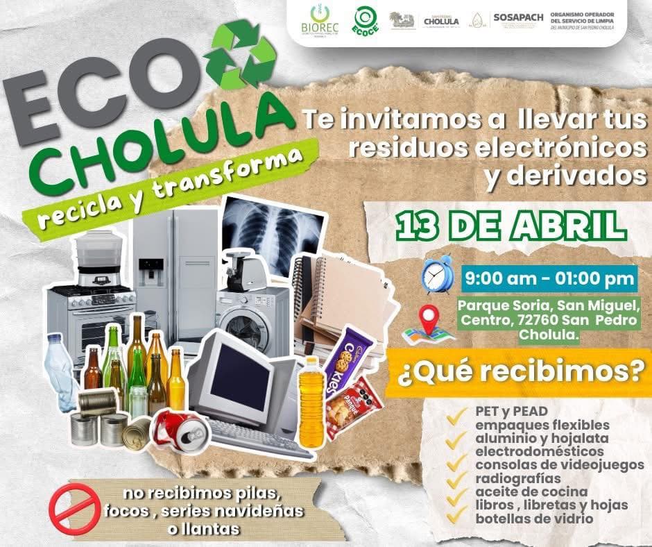 ecocholula domingo próximo 4