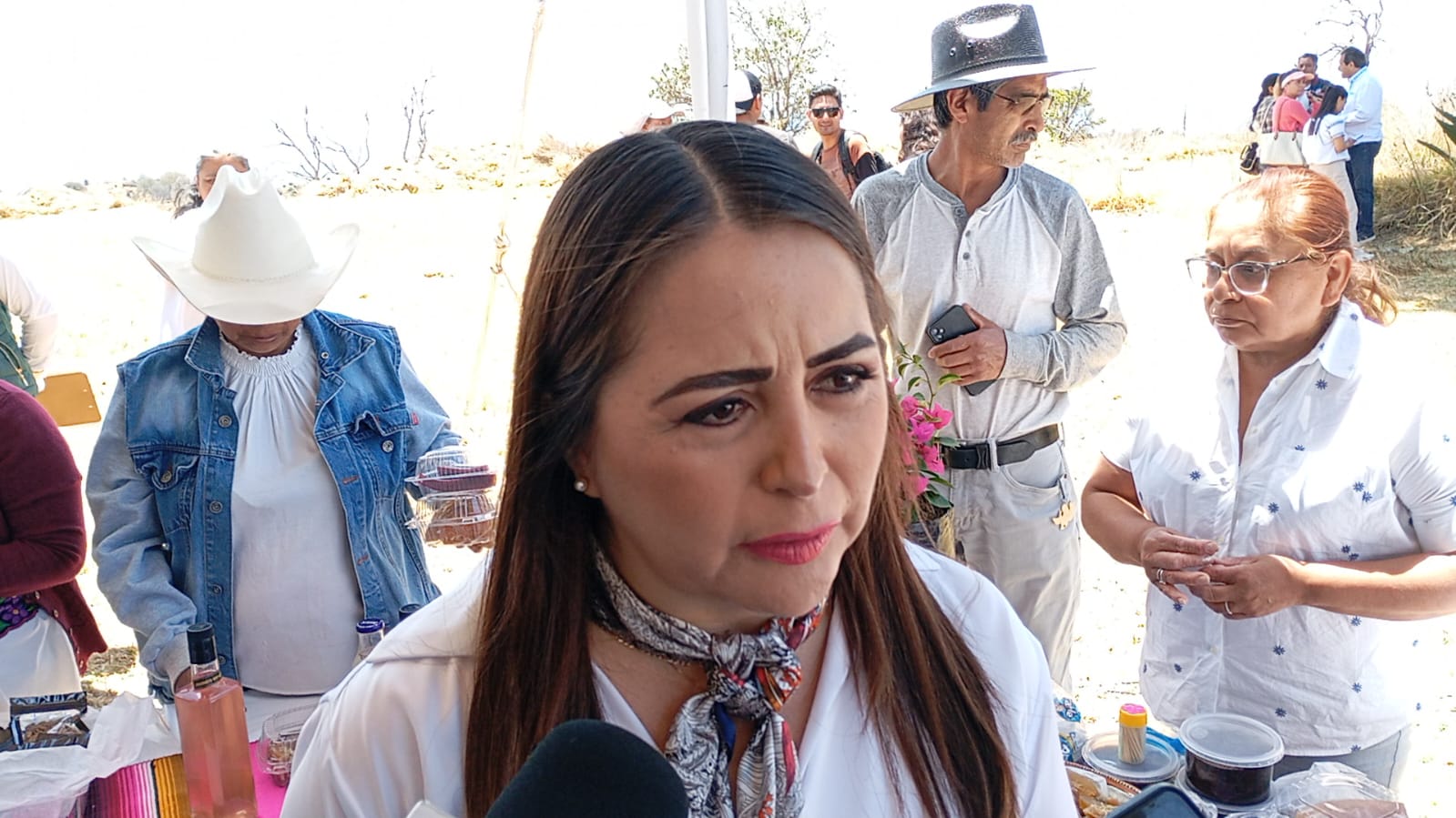 Elección Ciudadana del Poder Judicial en Tlaxcala: ¡Participa y toma la mejor decisión!