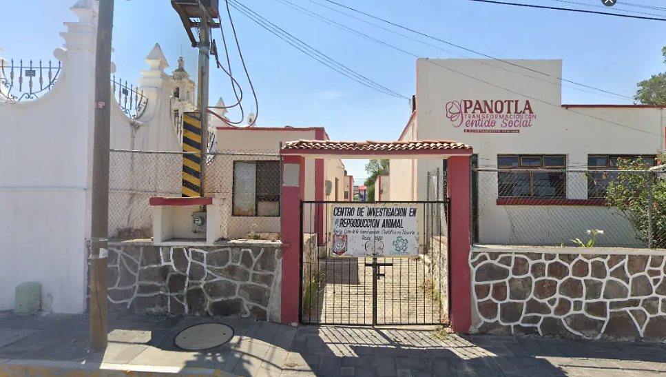 Conflicto en Panotla: Solicitan recuperar predio ocupado por la UATx