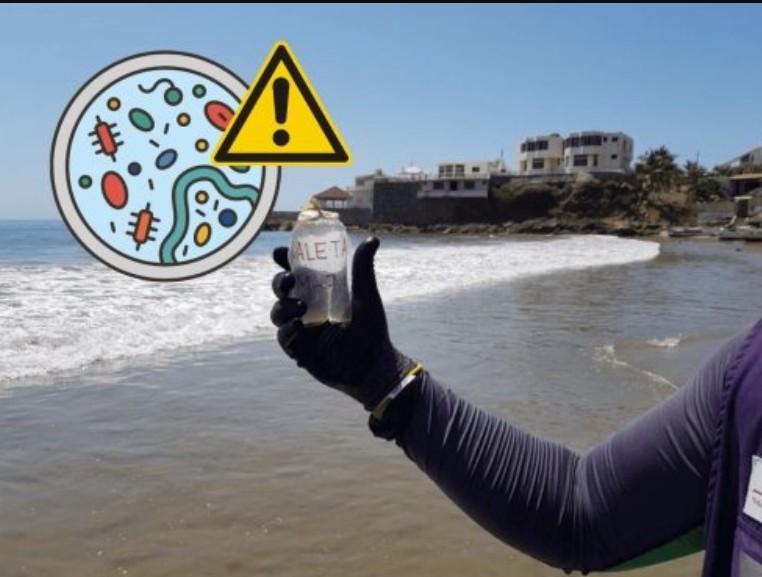 Foto: Cortesía Cofepris alerta sobre seis playas no aptas para nadar en Semana Santa