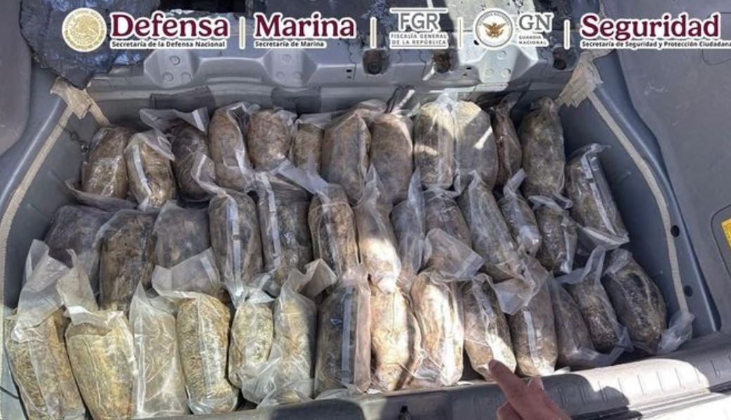 Foto: Cortesía Coordinación federal asegura droga en carreteras de Durango y Coahuila