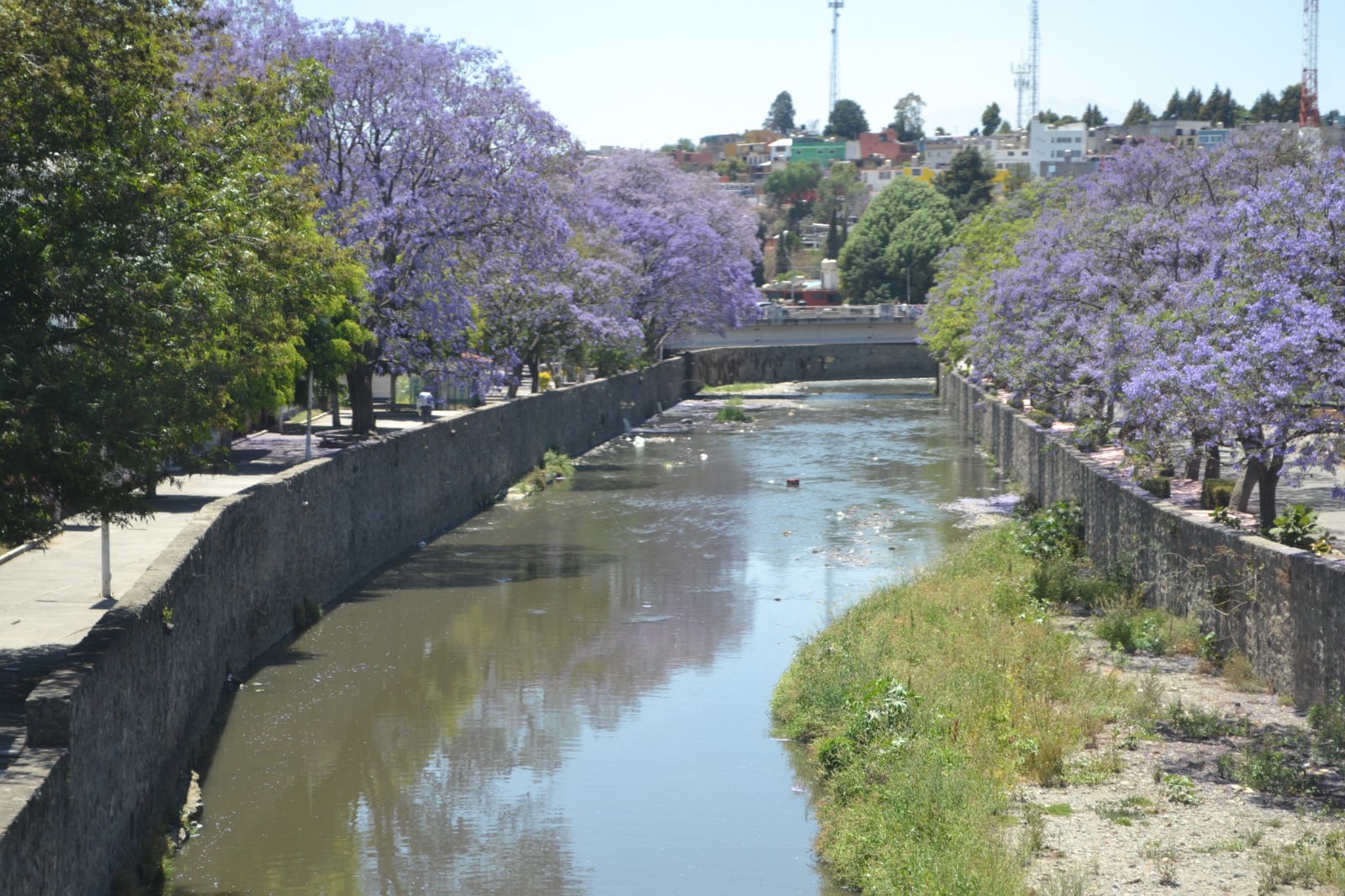 Foto: Cortesía Detectan 230 focos de contaminación en el río Zahuapan: habrá rescate