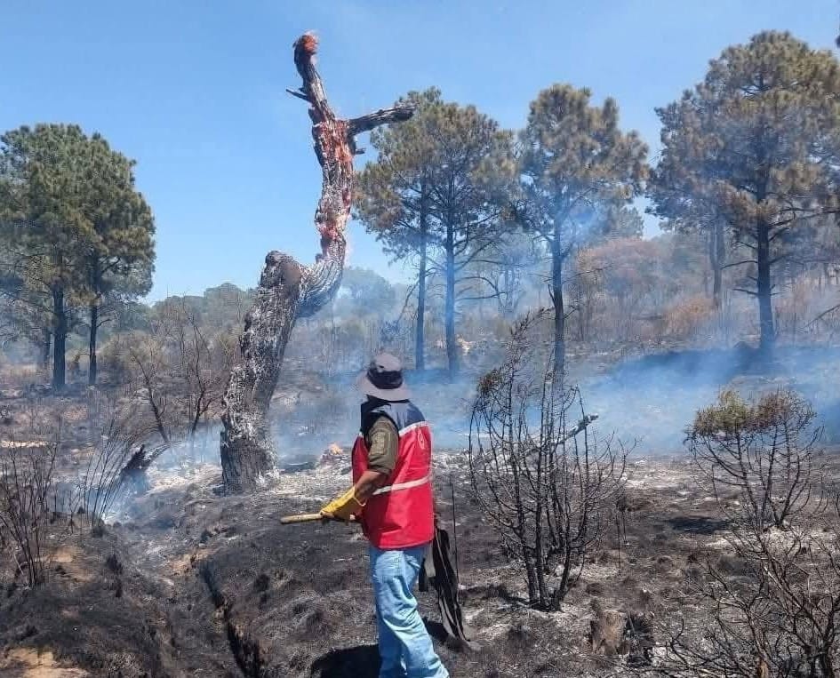 Tocatlán pide apoyo tras incendio en el Cerro del Quimicho, pulmón del oriente
