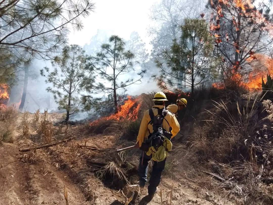 Declaran emergencia en Atltzayanca, fuerte incendio ocasiona humareda en todo el estado 