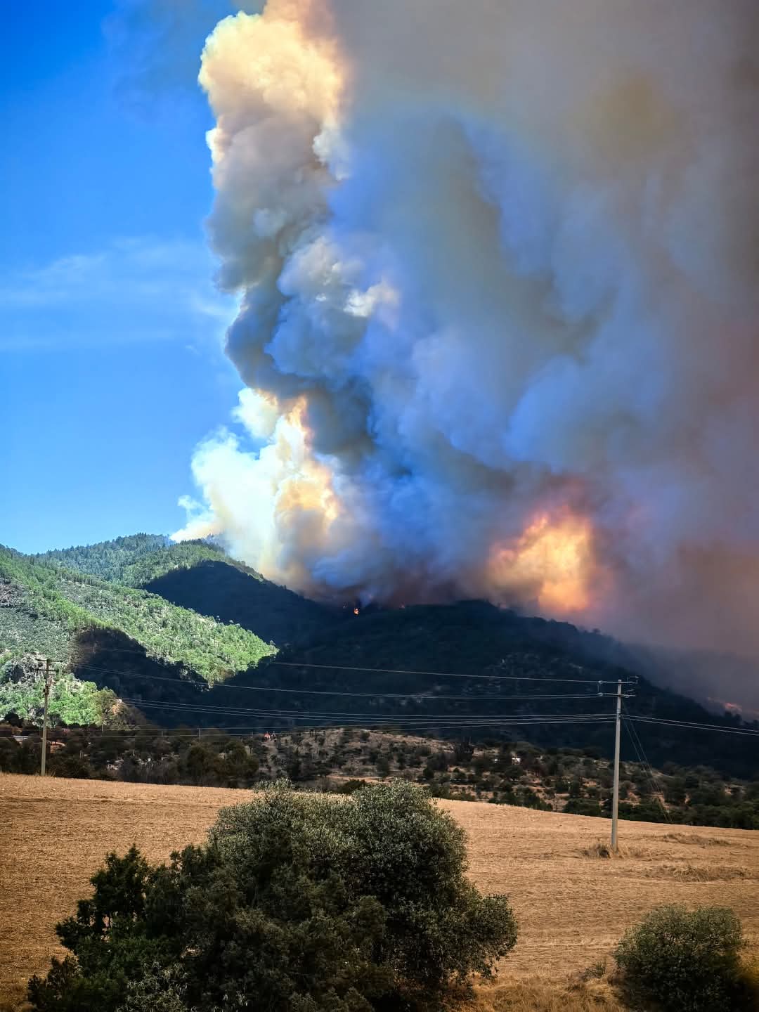 Declaran emergencia en Atltzayanca, fuerte incendio ocasiona humareda en todo el estado 