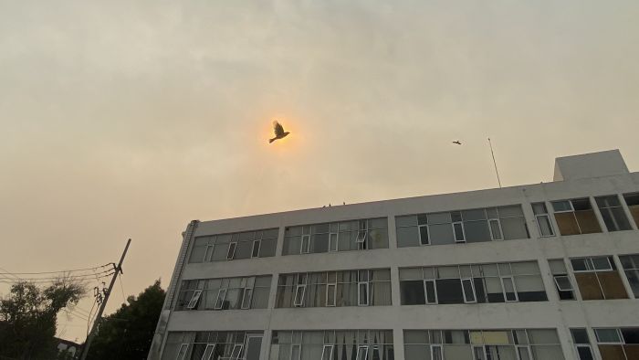 Cielo naranja en Puebla: humedad, ozono e incendios provocan fenómeno inusual