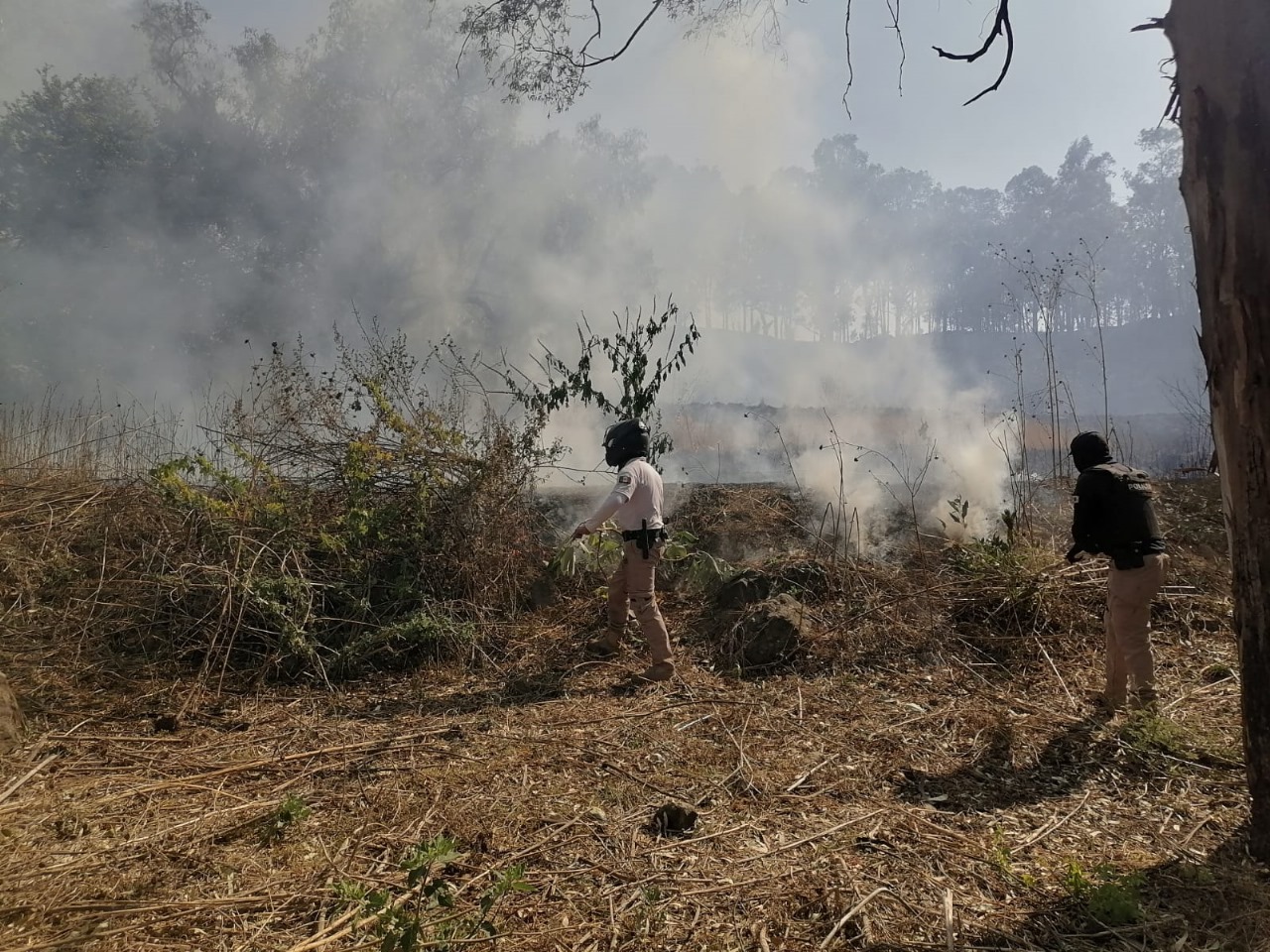 Policía Montada refuerza vigilancia en el Cerro Zapotecas y se suma al combate de incendios
