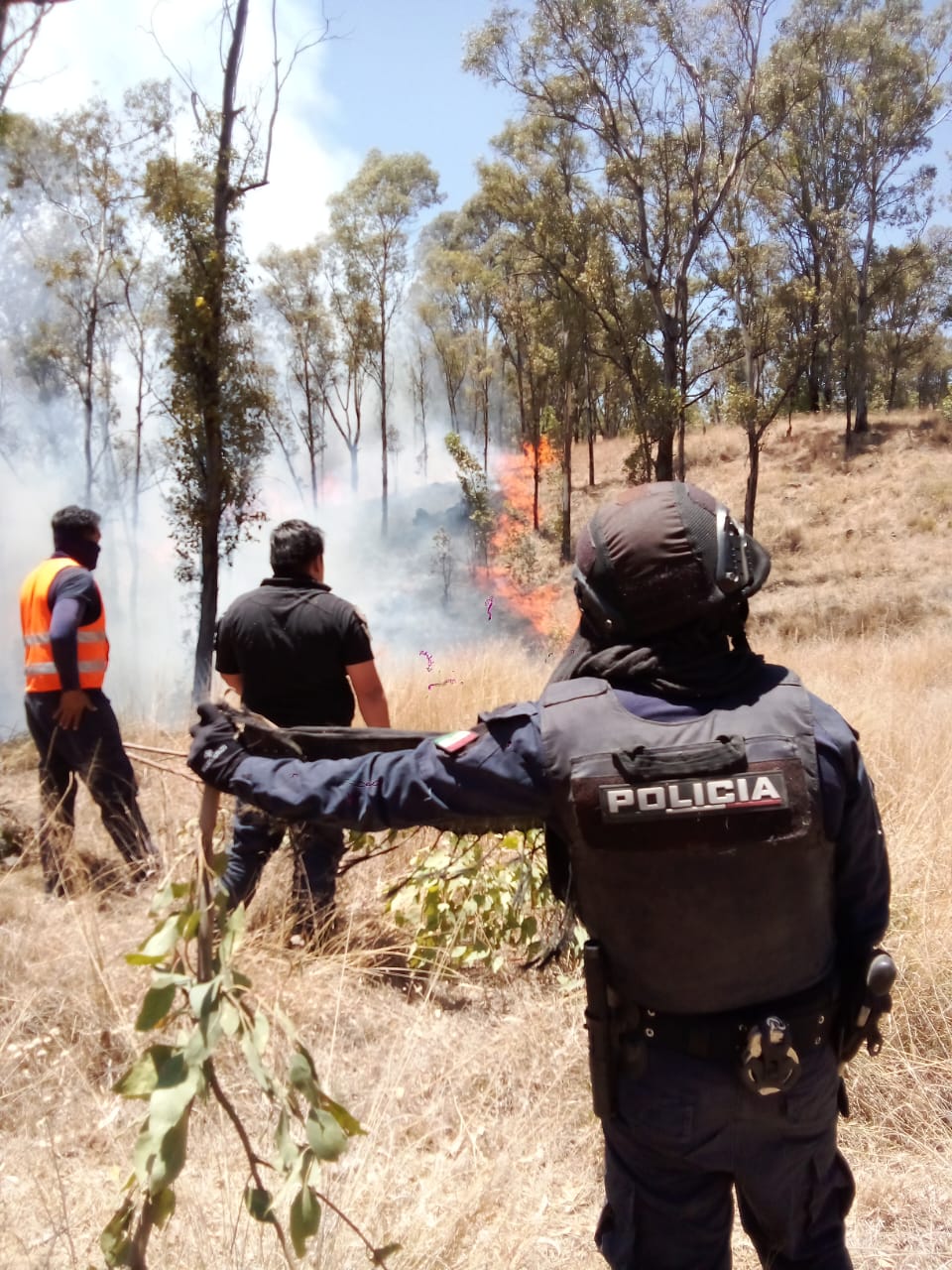 combate incendio zapotecas 3