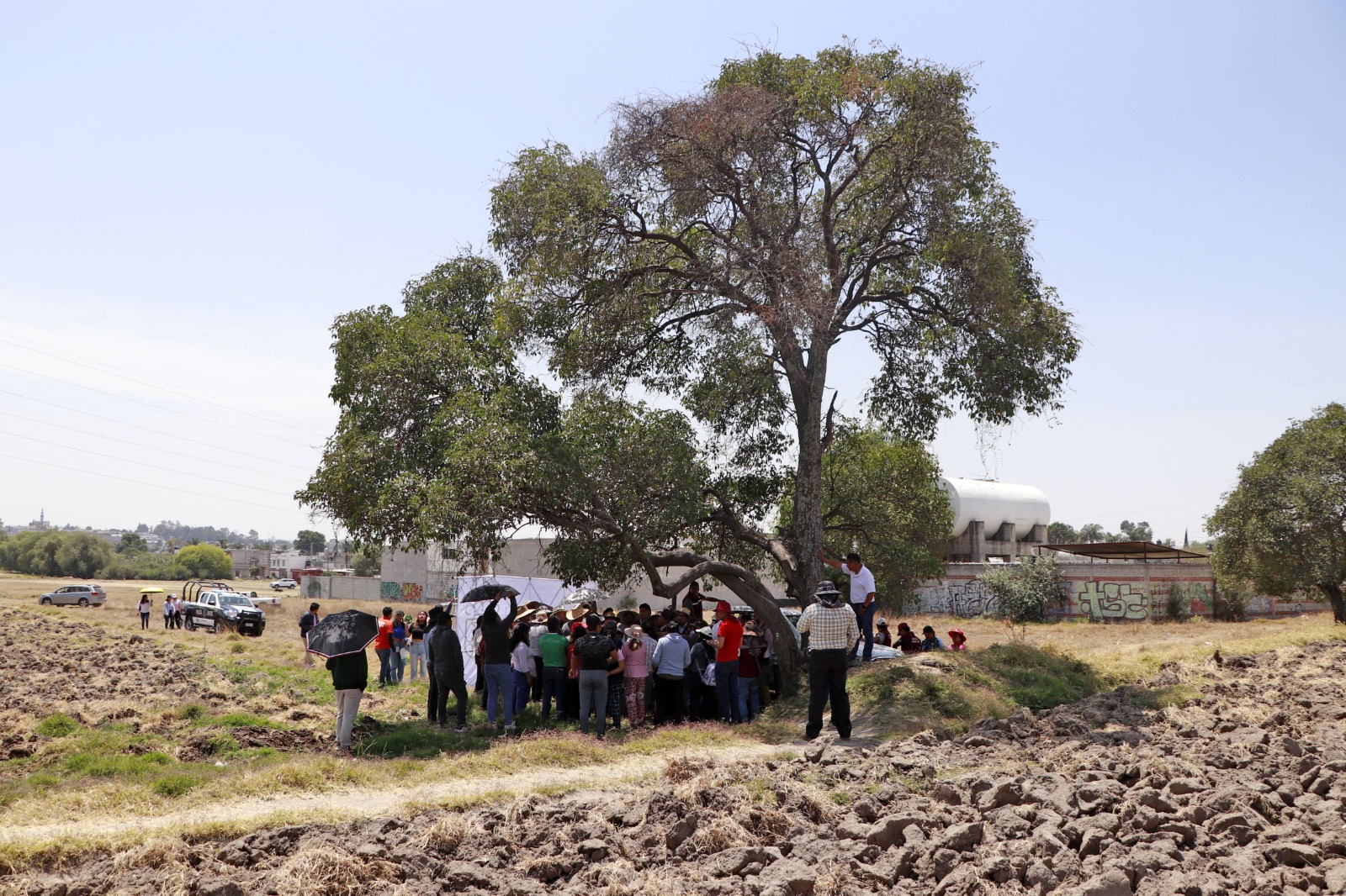 martes ciudadano en la joya 6