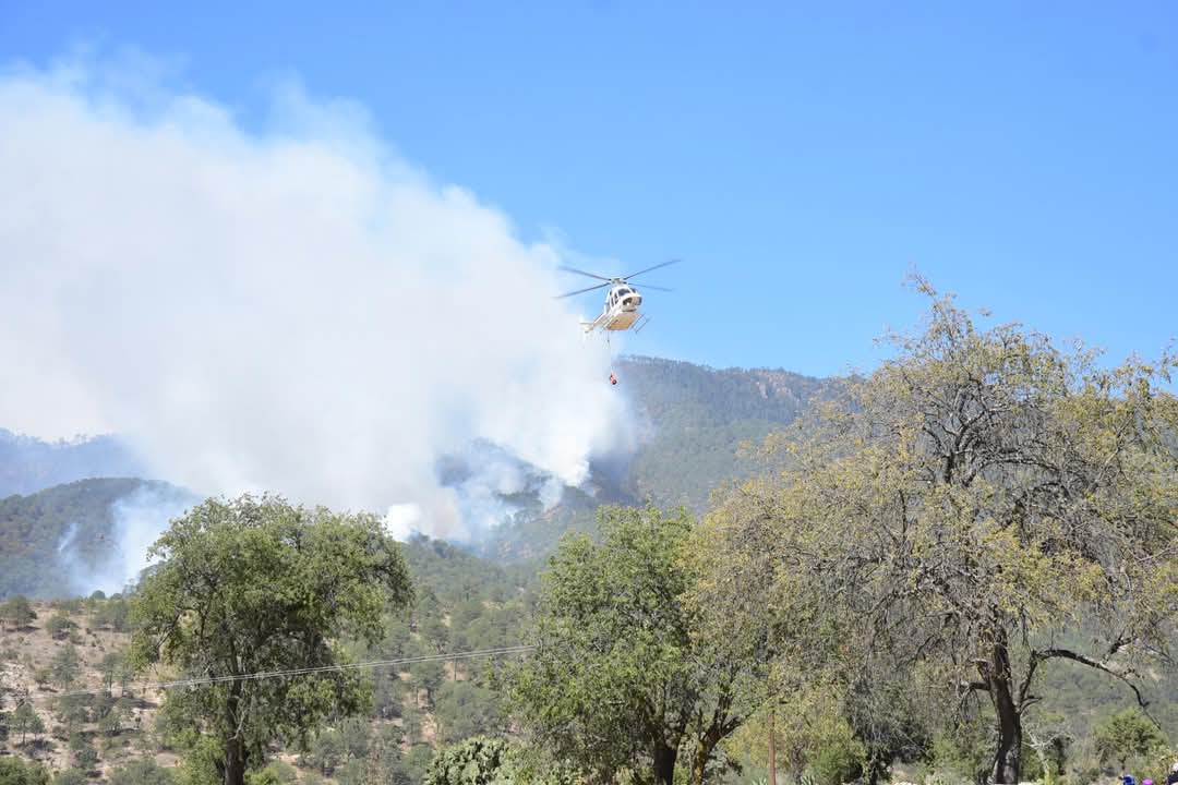 Más de 150 hectáreas afectadas por incendio, SMA levanta contingencia en 6 municipios 