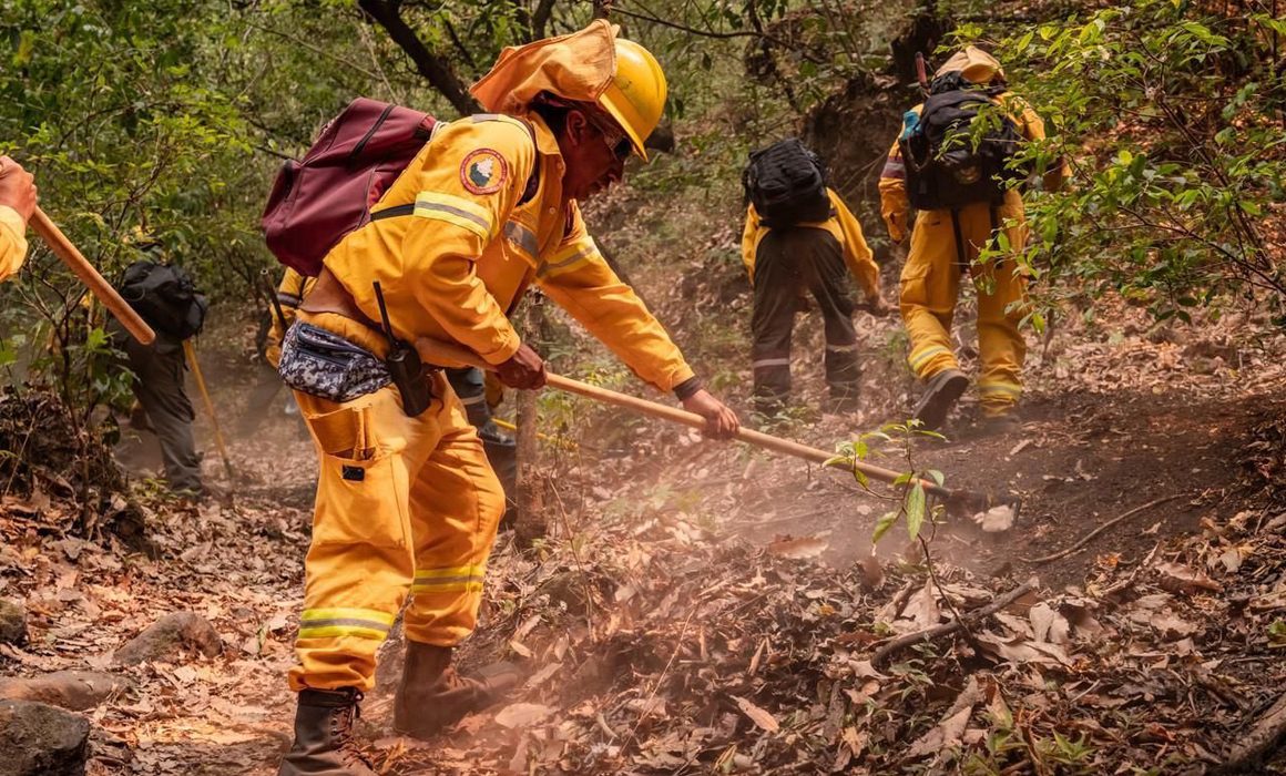 Foto: Cortesía Conafor reporta 129 incendios forestales activos en México