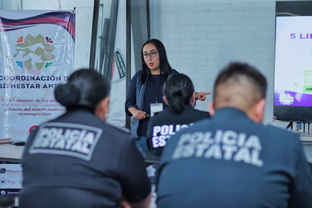 Incendios en Tlaxcala exponen vacío legal en protección animal