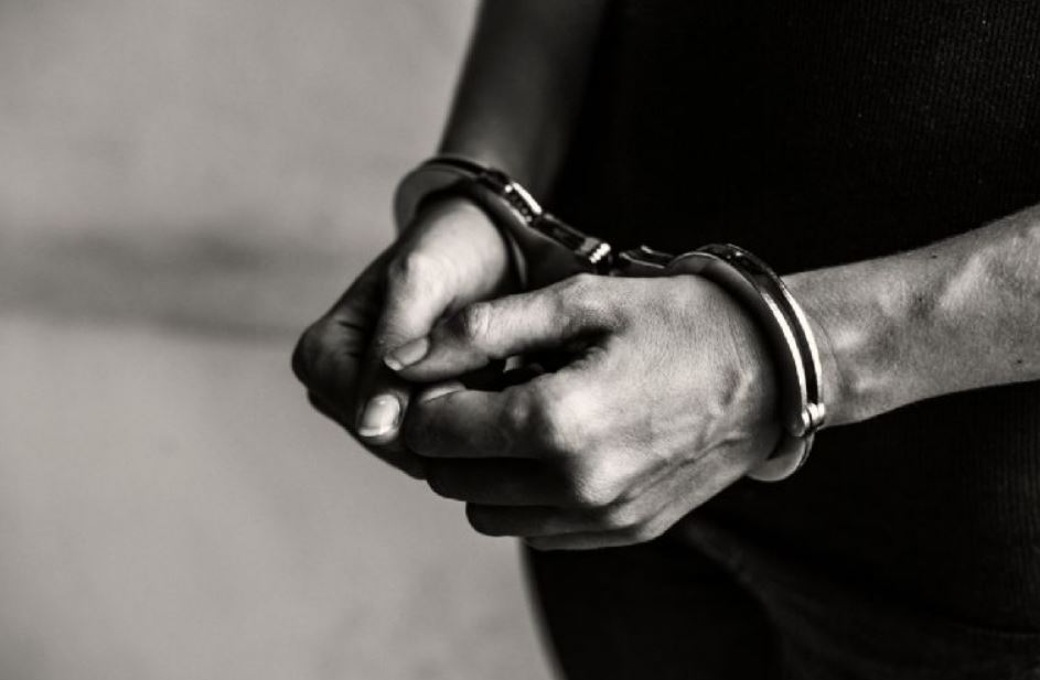 Brutal caso de maltrato animal en Kanasín: un hombre mata a un perro a golpes