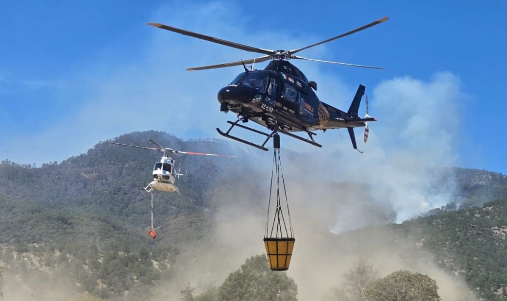 Foto: Cortesía Coordinación interestatal contra incendio en cerro de San Gabriel